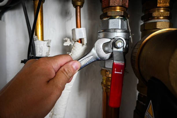  Santee, CA Plumbing Pros